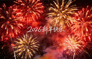 麗水威儀自動(dòng)化技術(shù)有限公司祝大家新年快樂(lè)！